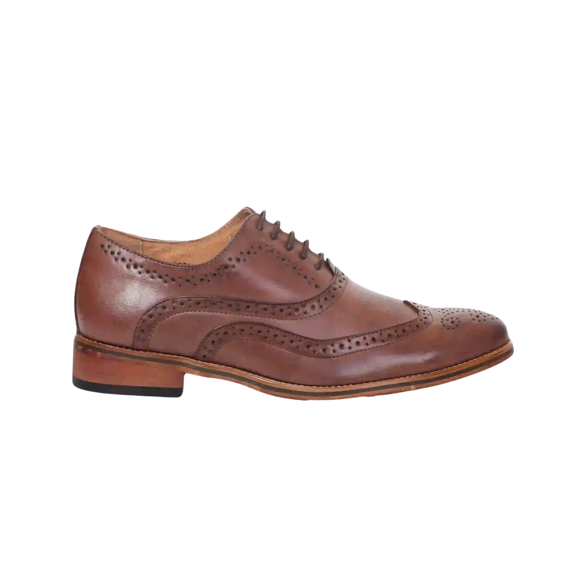 Brown Brogue Shoes For Men In Tan | Coes