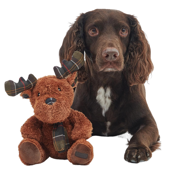 Barbour Dog Toy