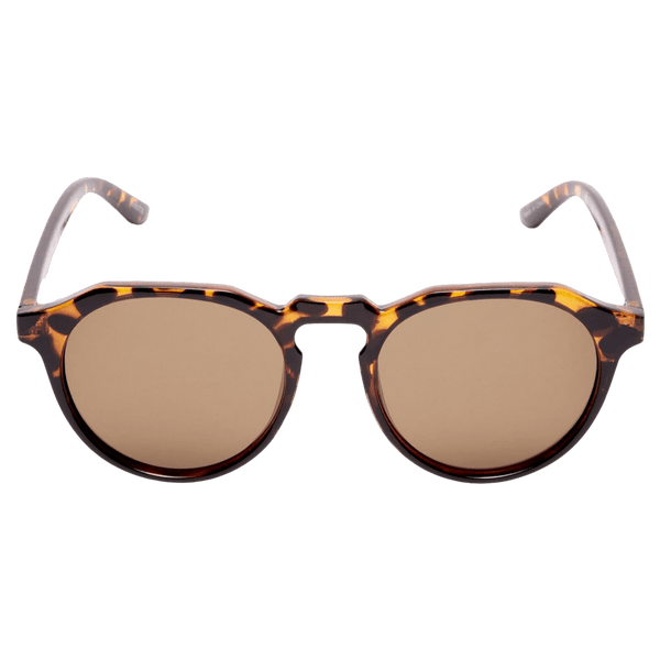 Selected Skyler Sunglasses for Men