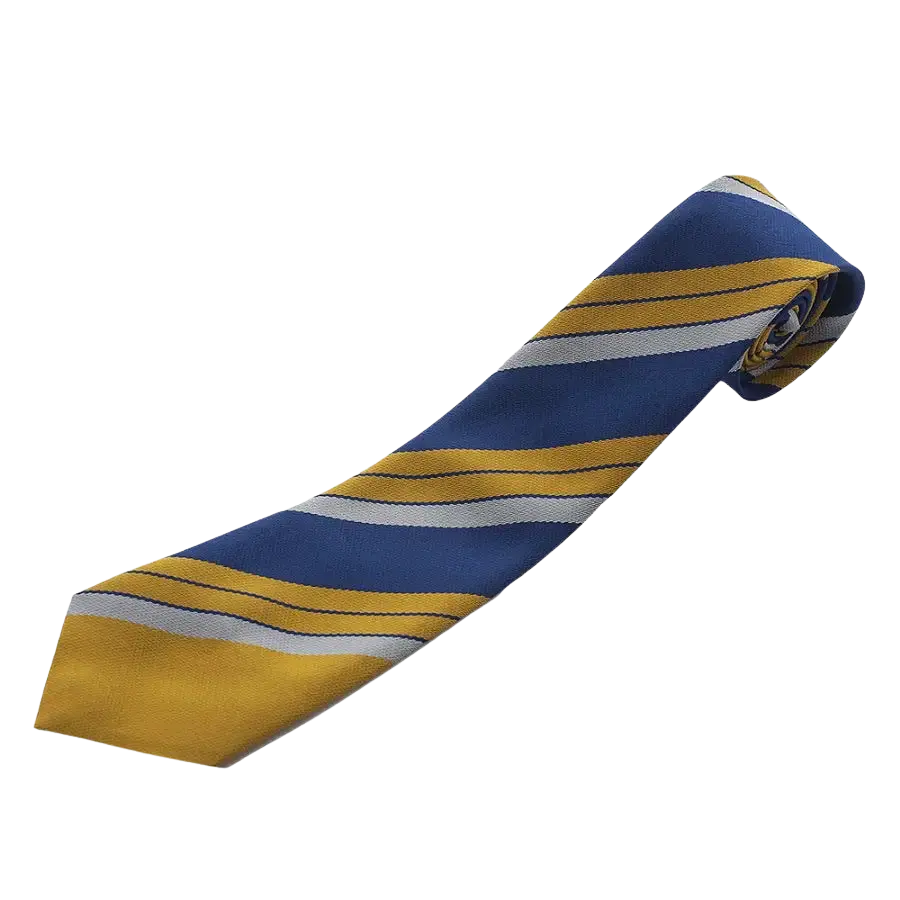 Colchester High School House Colours Tie – Yellow (badgers/ Saxons) | Coes