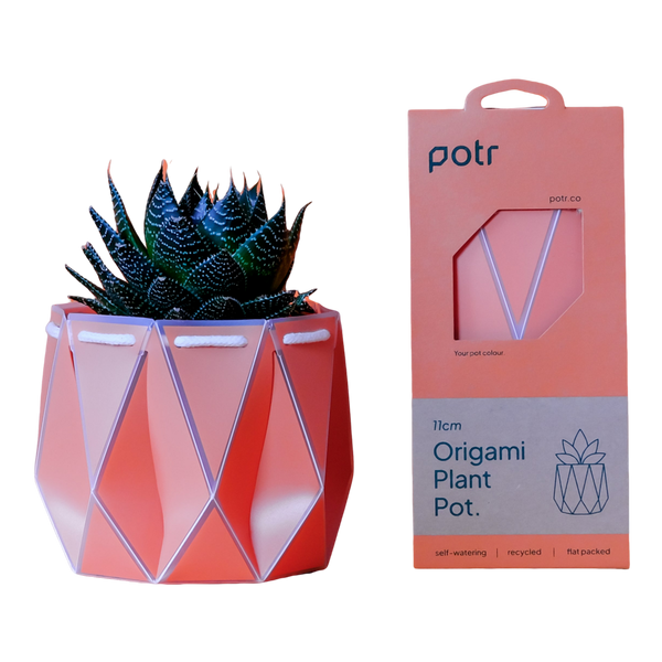 POTR 11cm Self Watering Pot