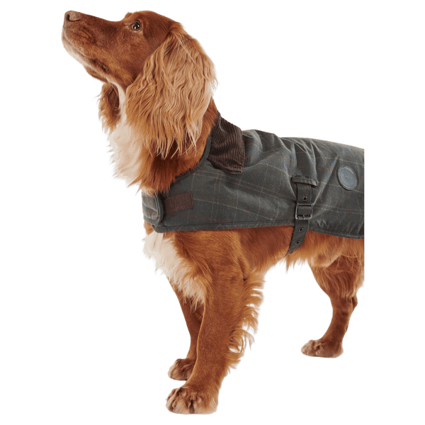 Barbour Tartan Wax Dog Coat