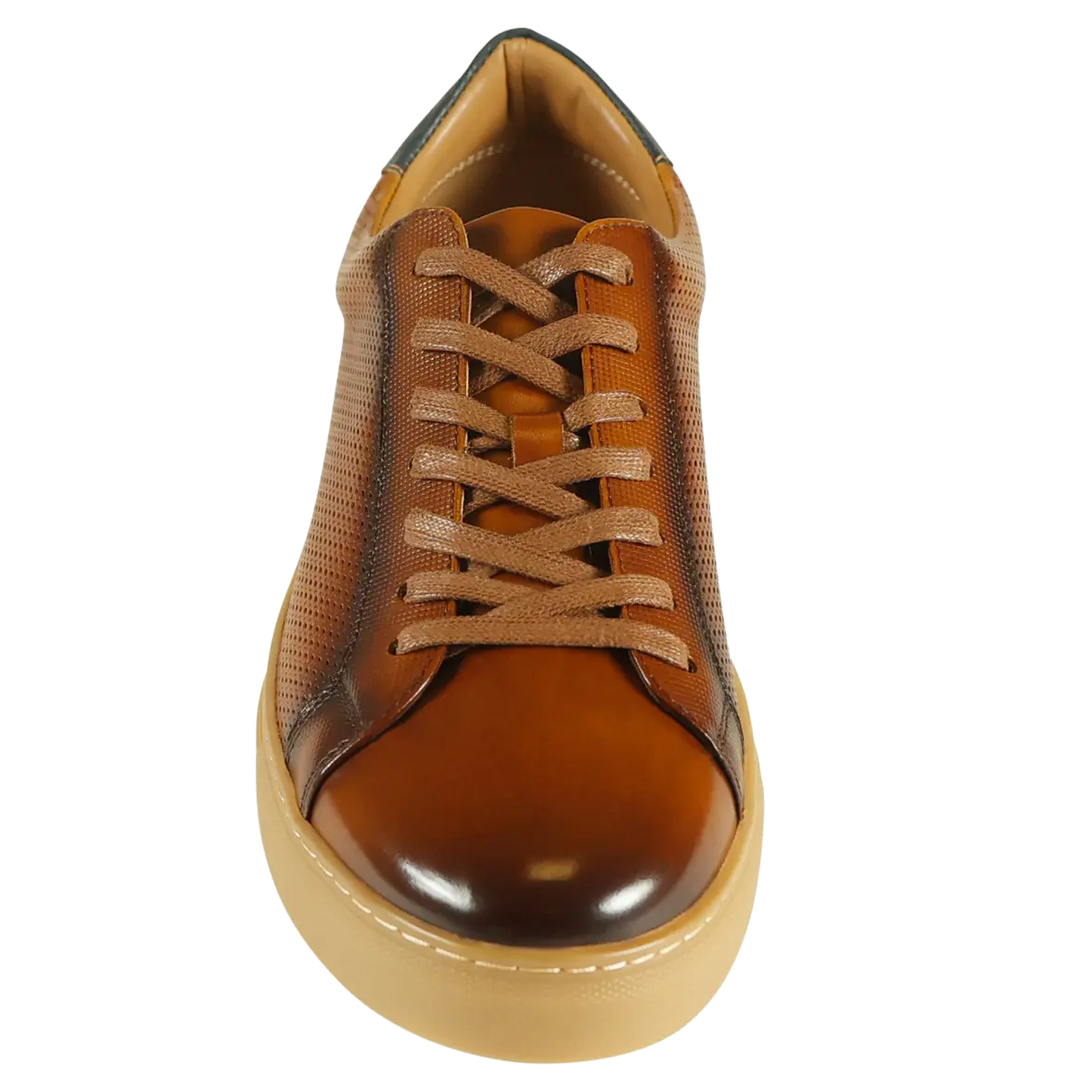 Azor Phoenix Tennis Style Shoe For Men | Coes