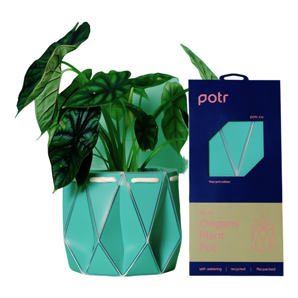 POTR 18cm Self Watering Pot