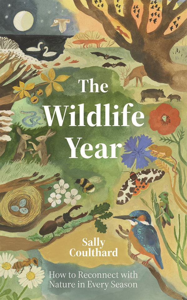 Wildlife Year: How To Reconnect With Nature