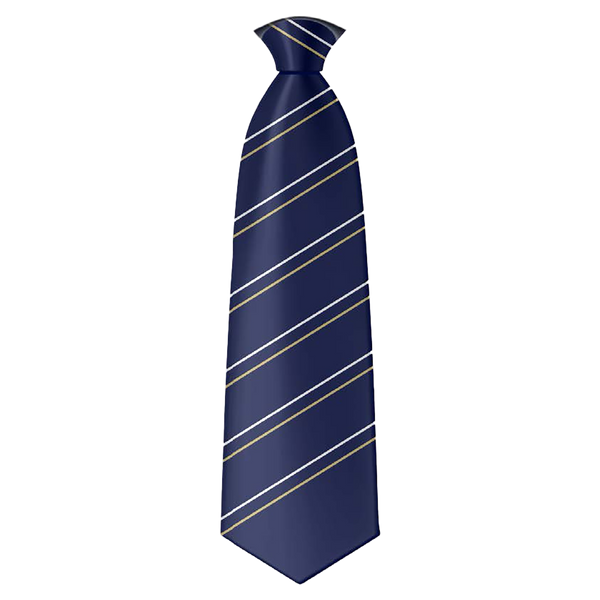 Beccles High School Tie