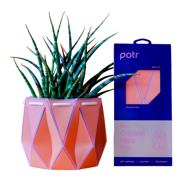 POTR 18cm Self Watering Pot