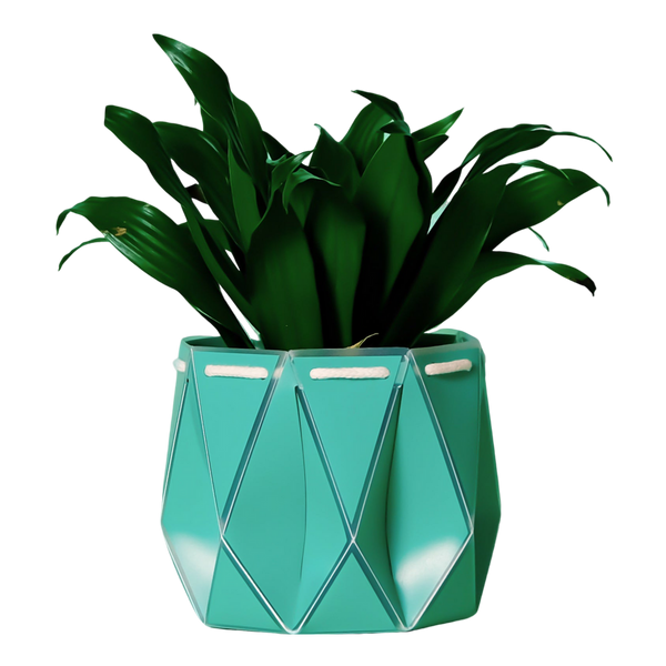 POTR 11cm Self Watering Pot