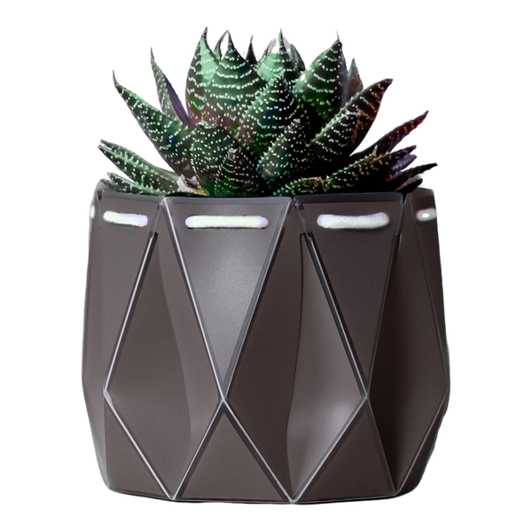 POTR 11cm Self Watering Pot