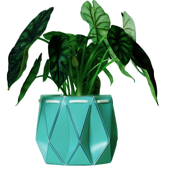 POTR 18cm Self Watering Pot