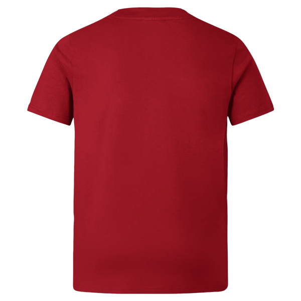 Canterbury British & Irish Lions Junior Jersey T-Shirt