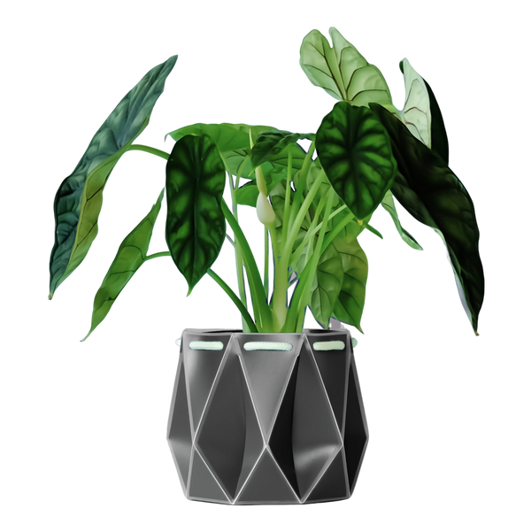 POTR 18cm Self Watering Pot